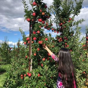 Meet your Posher, Moona